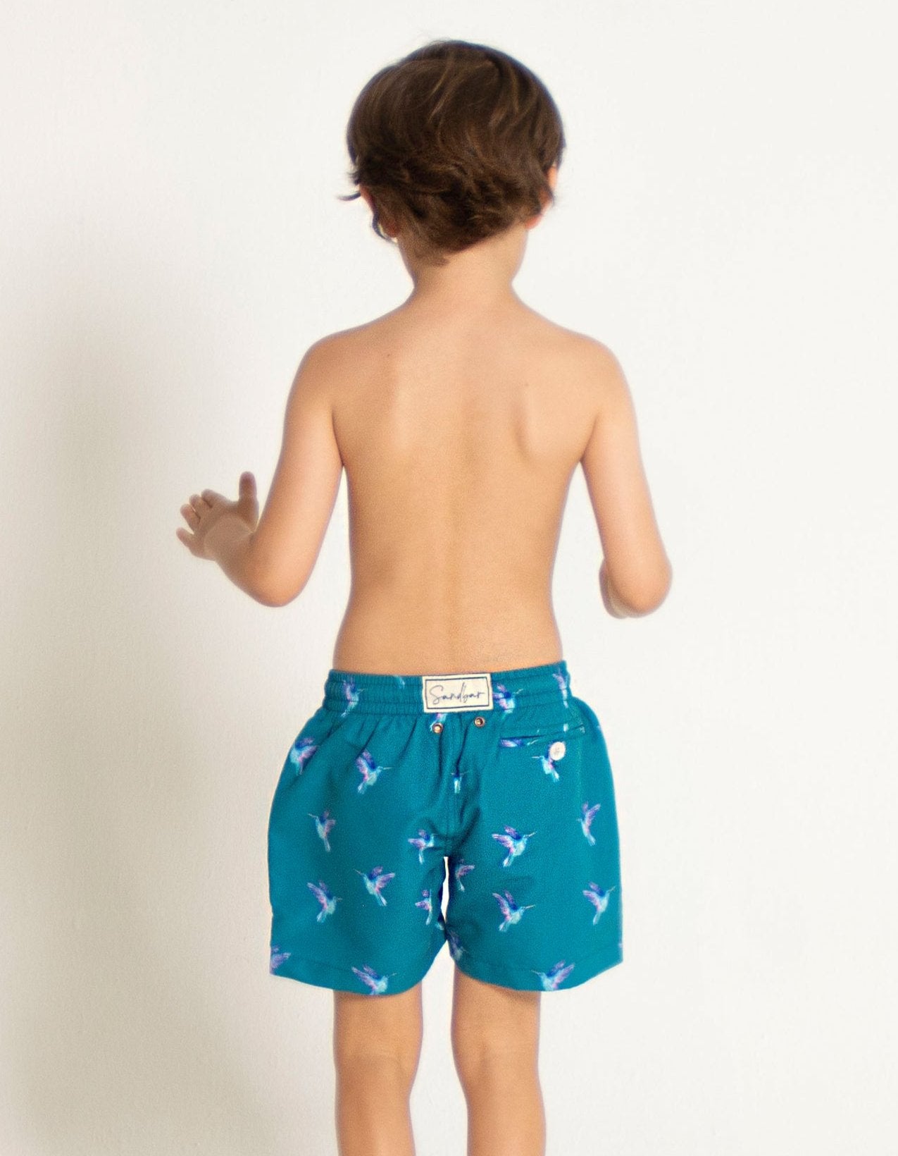 Hummingbird Boys Swim Shorts, back view. Sustainable boys swimwear.