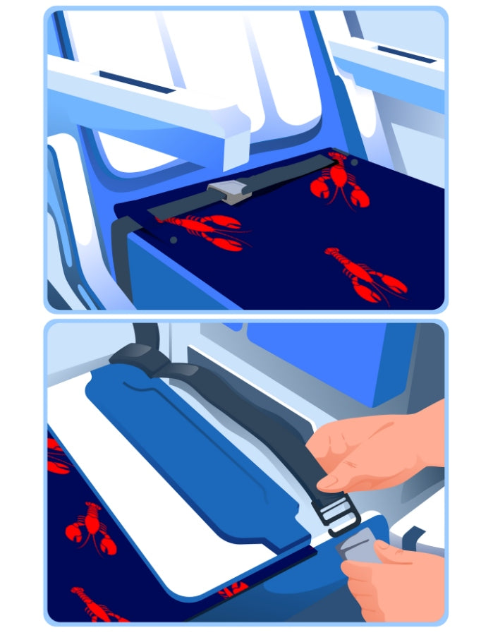 Doze Class Air Bed - Red Lobster, back view.