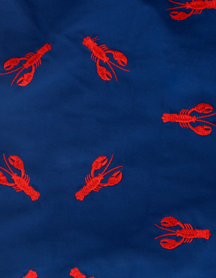 Embroidered Red Lobster Boys Swim Shorts, back view. Embroidered kids swim shorts.