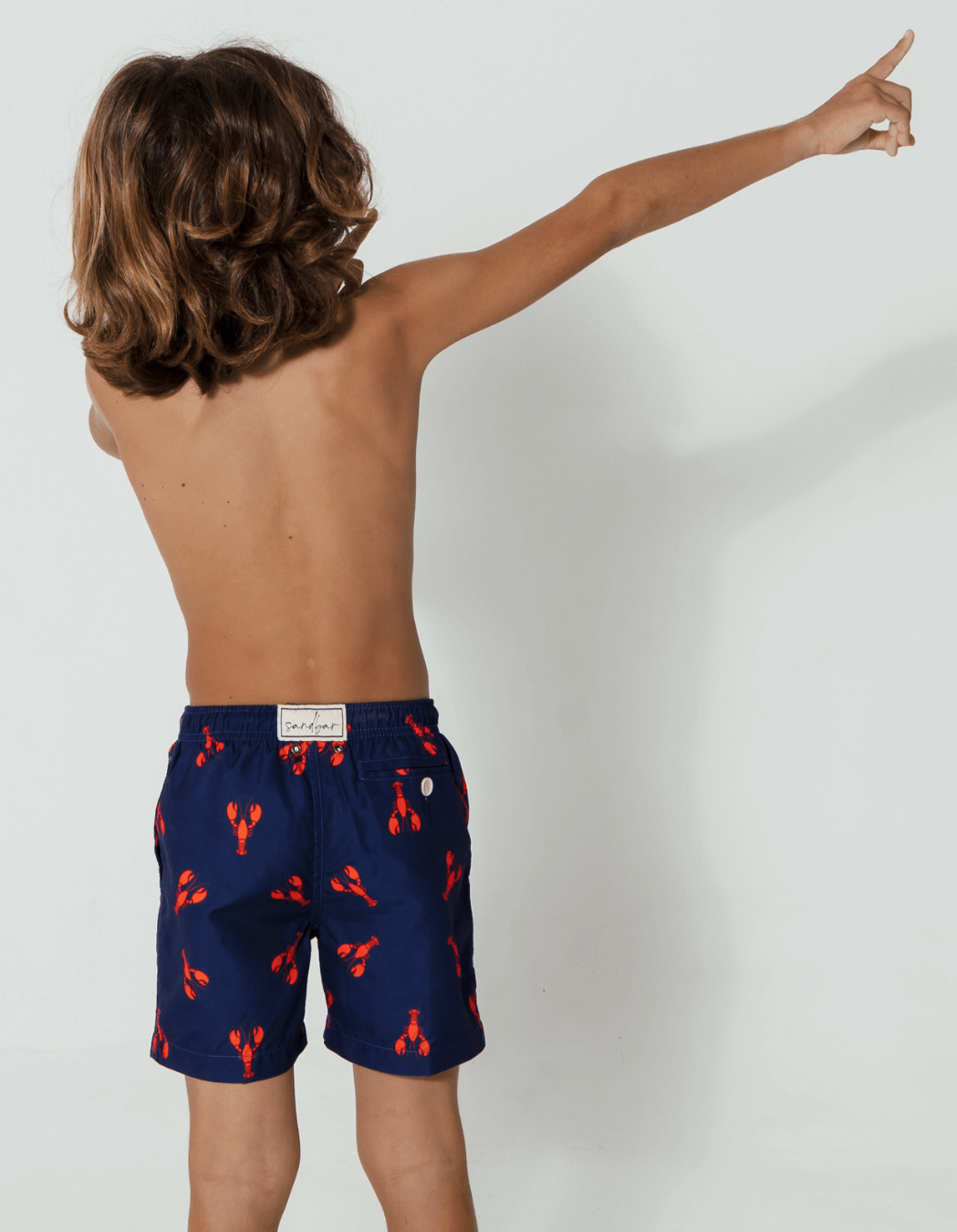Printed Red Lobster Boys Swim Shorts, back view. Sustainable boys swimwear.