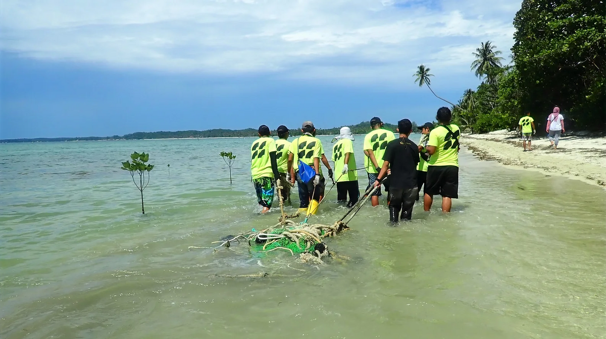 Clean-up crew collecting plastic from shallow coastal water
