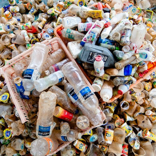 Plastic bottles sorted for recycling