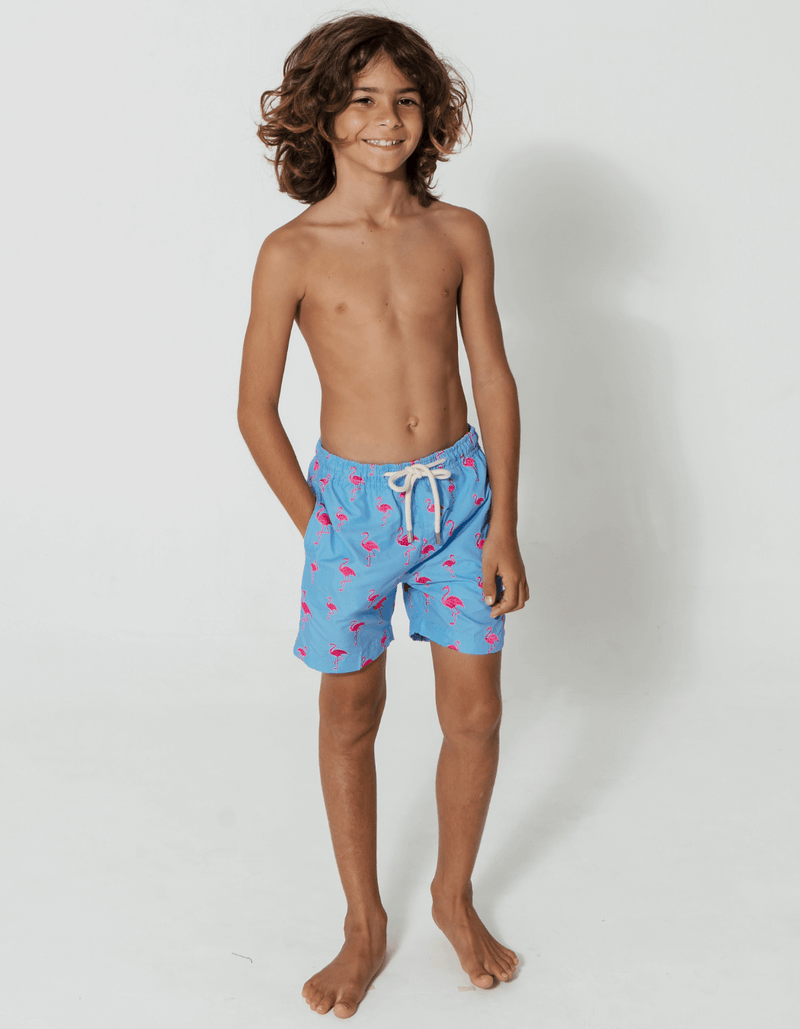 Tom wearing Embroidered Pink Flamingo Boys Swim Shorts, size Age 8