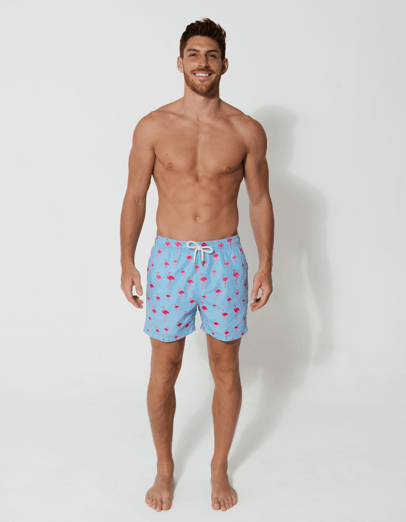 Ken wearing Embroidered Pink Flamingo Mens Swim Shorts, size 32" - M